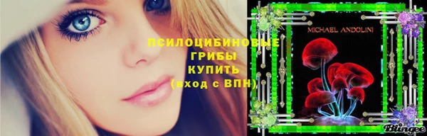 гашик Абаза