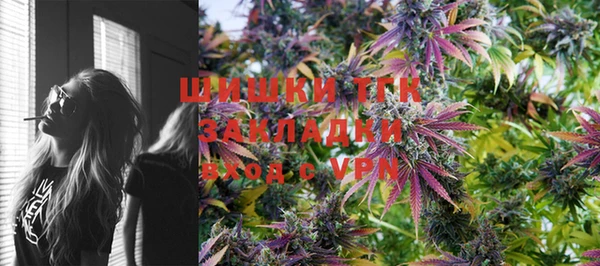 дживик Абинск