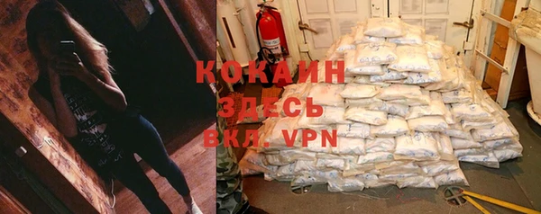 дживик Абинск