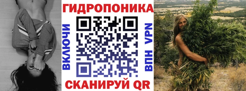 Бошки Шишки MAZAR  Серафимович 